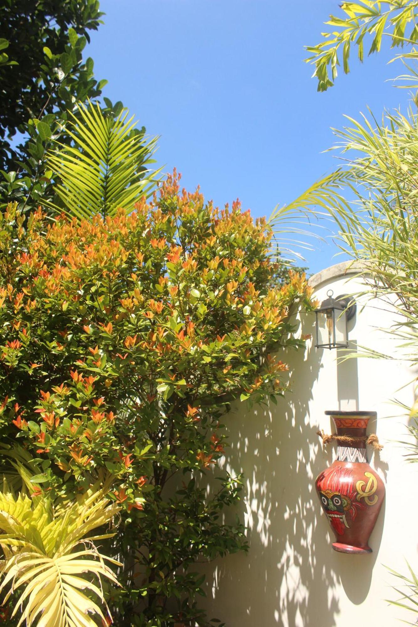 Villa Olde Ceylon Kandy Dış mekan fotoğraf