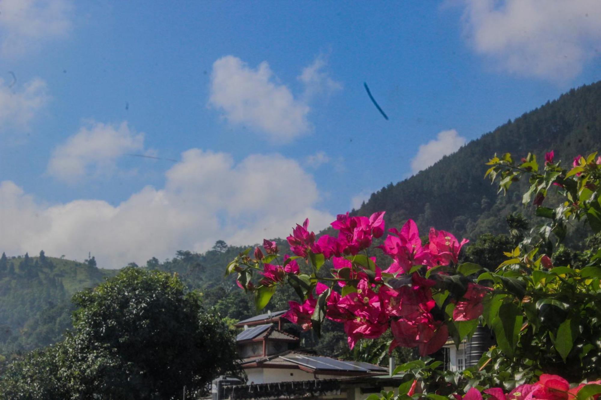 Villa Olde Ceylon Kandy Dış mekan fotoğraf