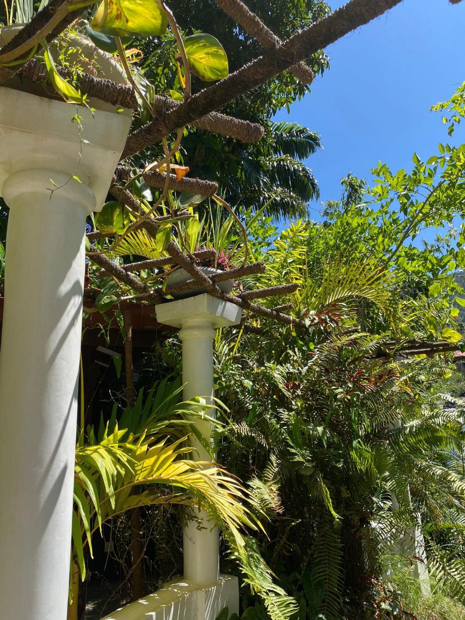 Villa Olde Ceylon Kandy Dış mekan fotoğraf
